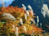 autumn-nature-wallpaper-26.jpg