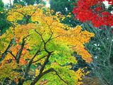 autumn-nature-wallpaper-29.jpg
