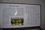 DSC_0142.JPG