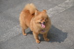 DSC_5835.JPG