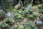 DSC_9297.JPG