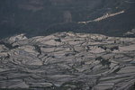 DSC_0365.JPG