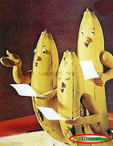 香蕉合唱團.jpg