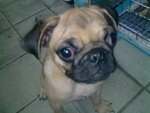 20090930020.jpg