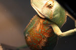 IMG_8363.JPG