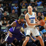 hornets1.jpg