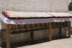 IMG_8202.JPG