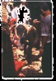 血祭儀式.gif