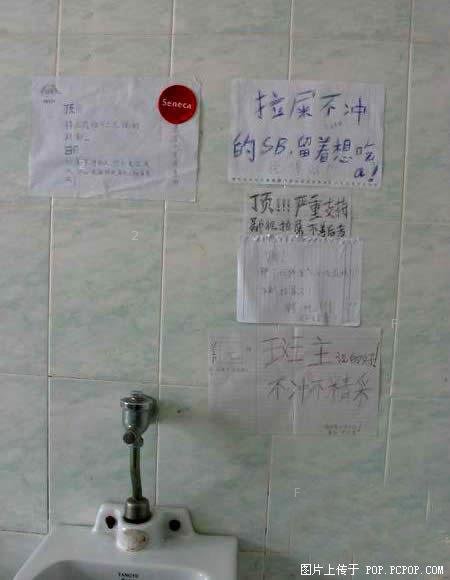 446197349_G.jpg