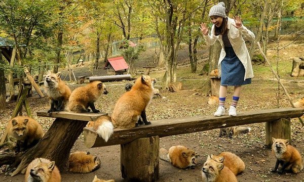 1_0674-e1482499881886-999x600.jpg