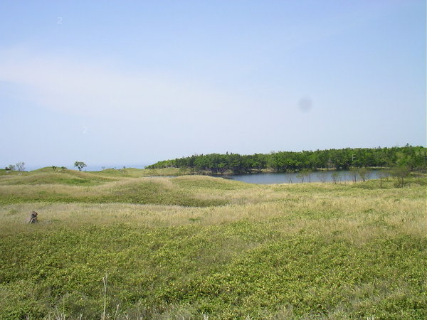 SANY0058.JPG