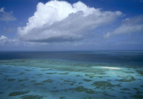 世界最大的珊瑚礁.jpg