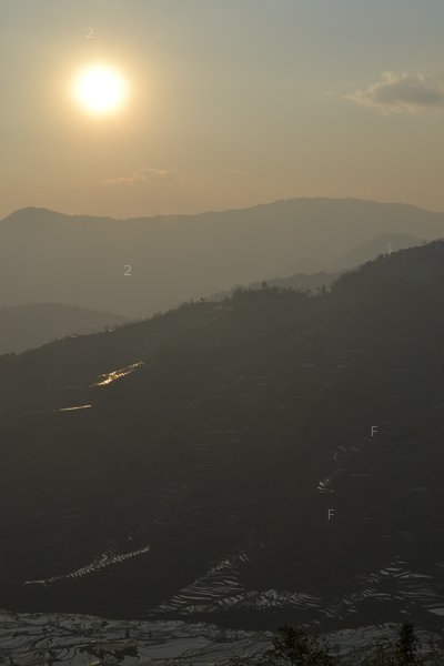 DSC_0314.JPG