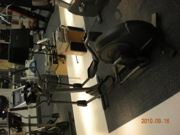 Cross Trainer (Large).JPG