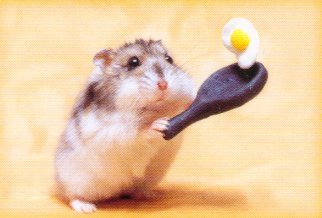 hamster_cook.jpe