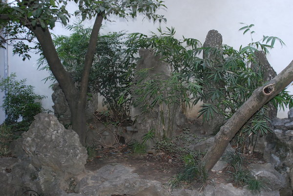 DSC_0558.JPG
