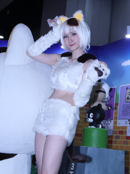 C3-190223-Cat_58-Q.jpg