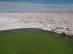 Salar de Atacama3.jpg