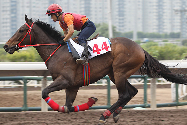 n44b.jpg