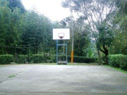 Basketball C.jpg