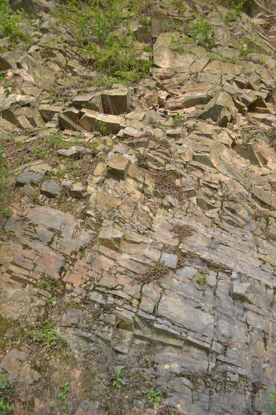 DSC_1704.JPG