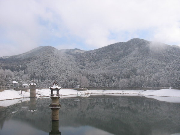 蘆林湖5.jpg