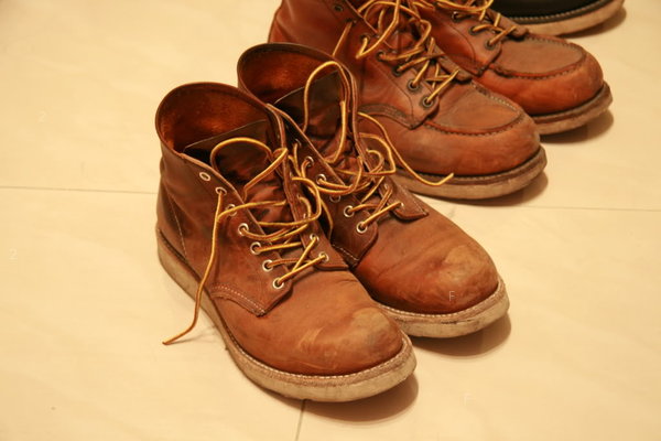 redwing.jpg