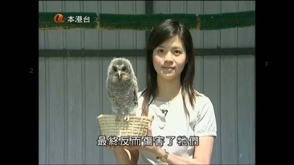 得意.jpg
