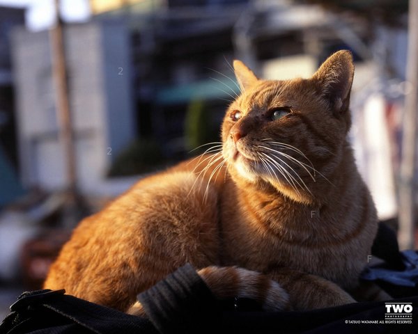 06po10_1280.jpg