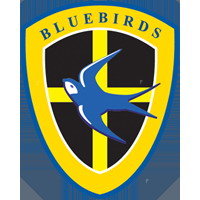 Cardiff_City_crest.jpg