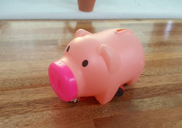 sokit_pig1.jpg