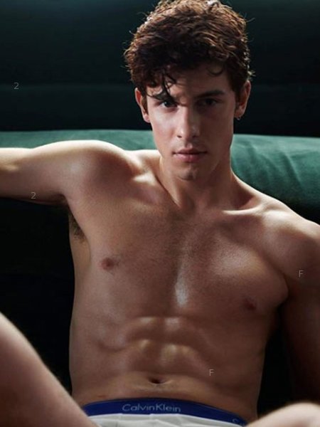 noah-shawn-mendes.jpg