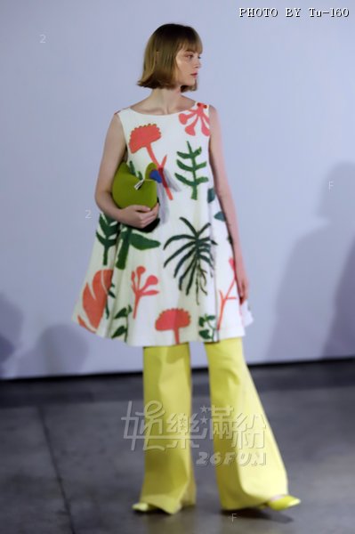 TDC-FW-d1ss1_65.JPG