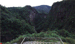 g10.jpg