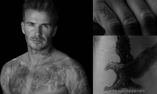 beckham_8920228365b5723e186572.jpg
