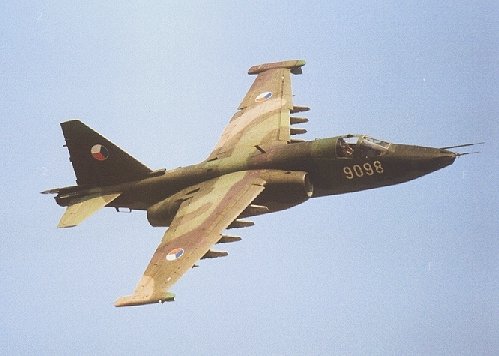 Su-25_b.jpg