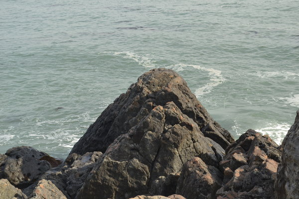 DSC_0522.JPG