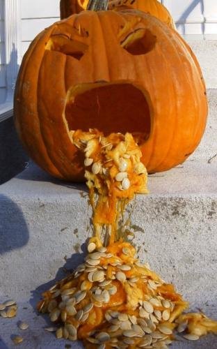 pumpkin.jpg