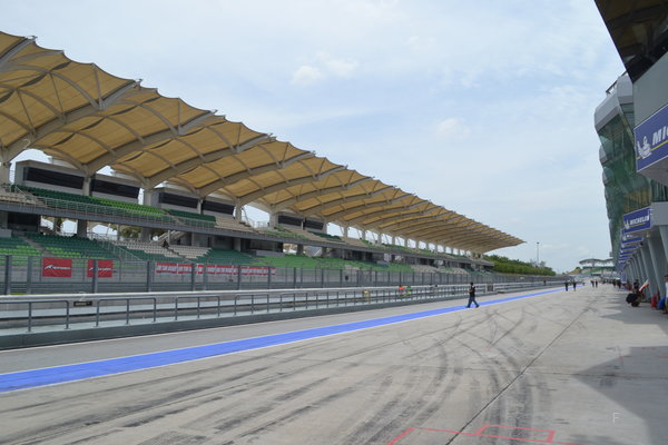 DSC_1317.JPG