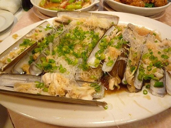 1de6cd0c6652f169_S.jpg