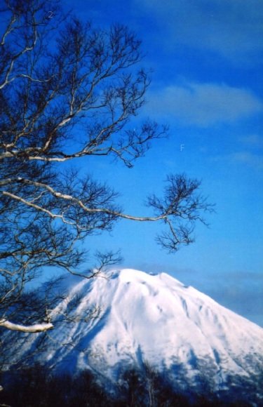05.jpg