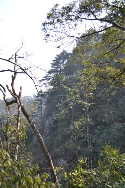 DSC_8383.JPG