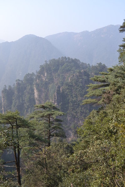 DSC_8386.JPG