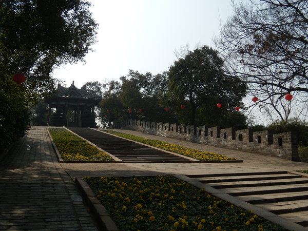 天心公園 023.jpg