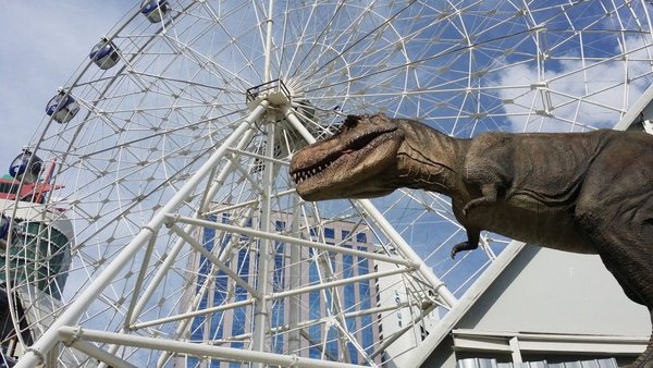 20161031_143628--1024x576.jpg