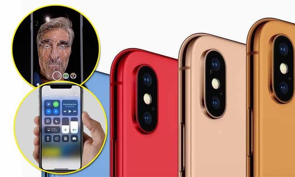 nm_featureimage_template_1582456865b5ec73c2656b.jpg