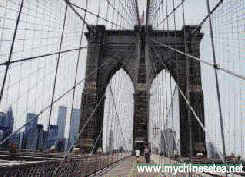 ny1_brooklyn_3b.jpg