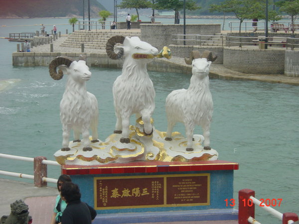 DSC00021.JPG