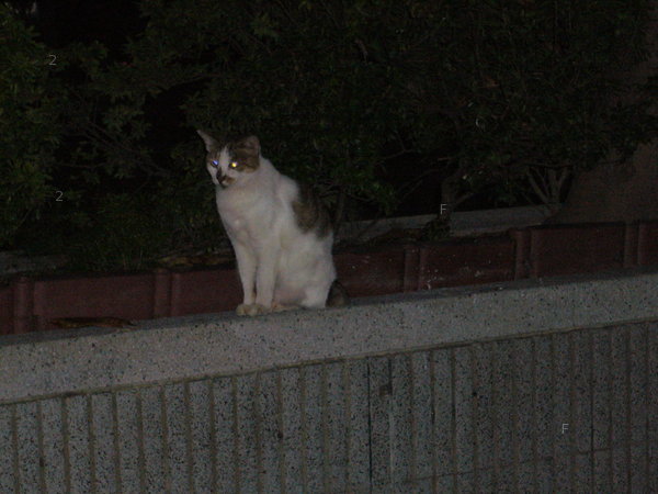 P1000957.JPG