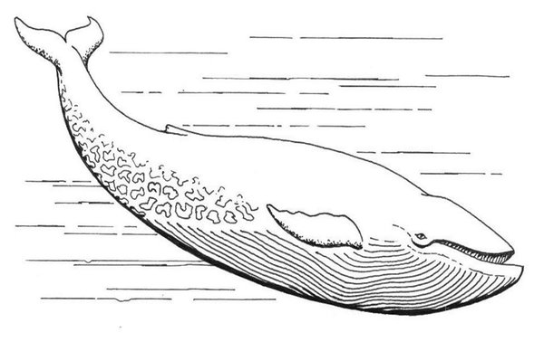 bs10_185325692759196b5b66040.jpg
